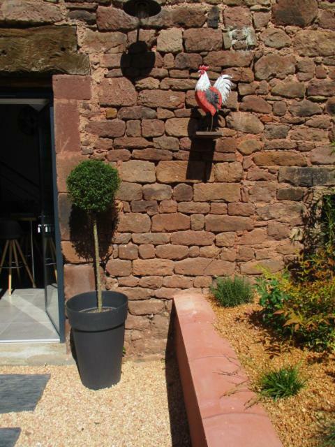 Villa La Ferme Du Duzou Saint-Cyprien-sur-Dourdou Esterno foto